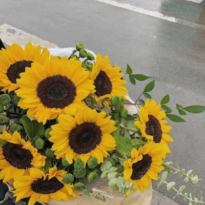 不快乐的小丸子